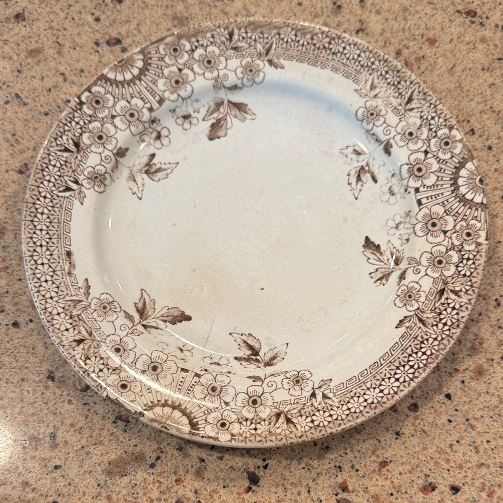 AF & C Foley Staffordshire 7 1/4”Plate